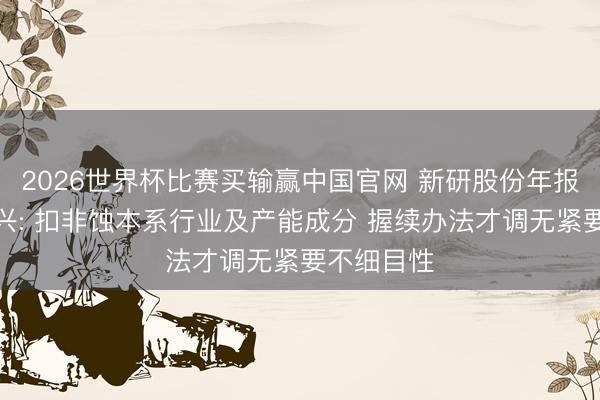 2026世界杯比赛买输赢中国官网 新研股份年报问询函复兴: 扣非蚀本系行业及产能成分 握续办法才调无紧要不细目性